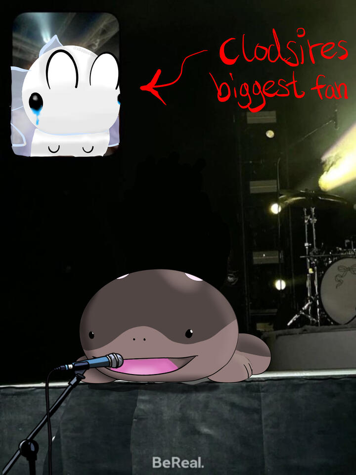 "Clodsire and Snom Edit" - Finished on the 5th of May 2024